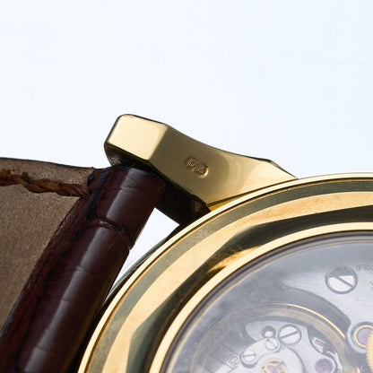 Patek Philippe Perpetual Calendar Chronograph Ref. 5970J-001 - "Very good" condition - Unpolished - Fullset