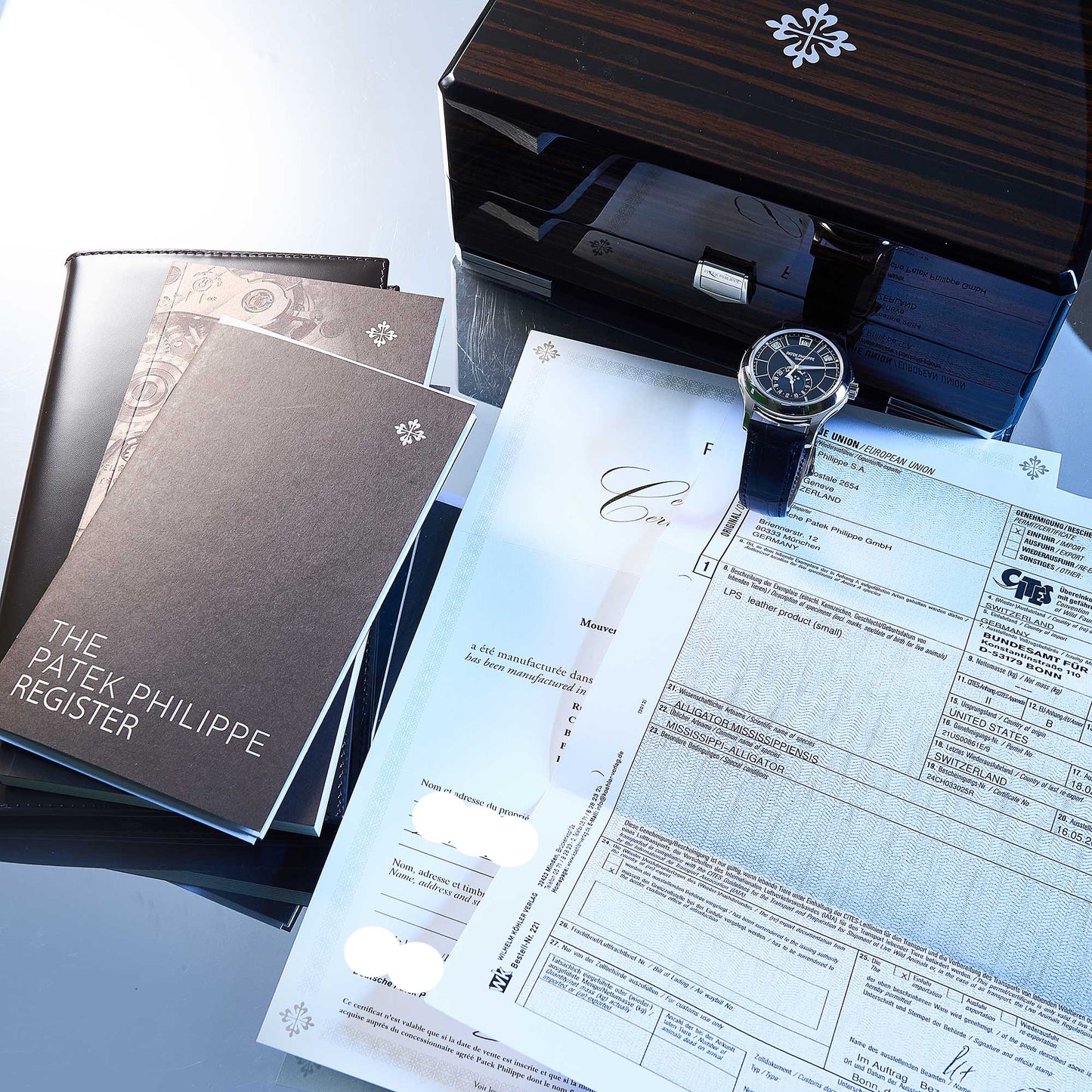 Patek Philippe Annual Calendar Ref. 5205G-013 - "Very good" condition - German first owner